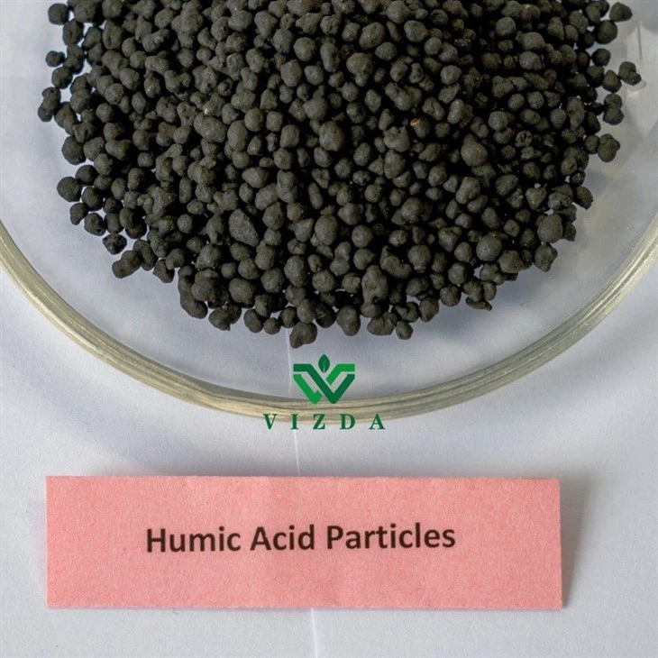 Humic Acid Granular