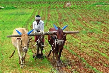 ভারতের কৃষি পণ্য প্রচুর পরিমাণে রপ্তানি করা হয়, একটি দ্বি-ধারী তলোয়ার হয়ে ...