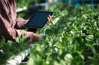 Syngenta বহিরাগত ডেভেলপারদের জন্য ক্রপওয়াইজ প্ল্যাটফর্ম উন্মুক্ত করেছে যা এর...