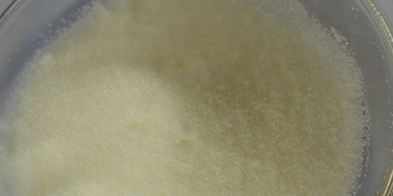 product-567-284 product-567-284