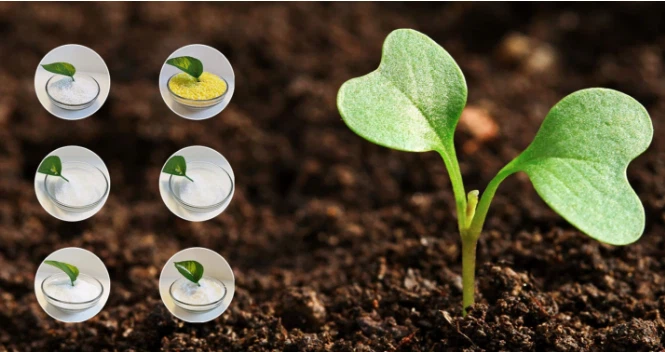 product-665-352 product-665-352